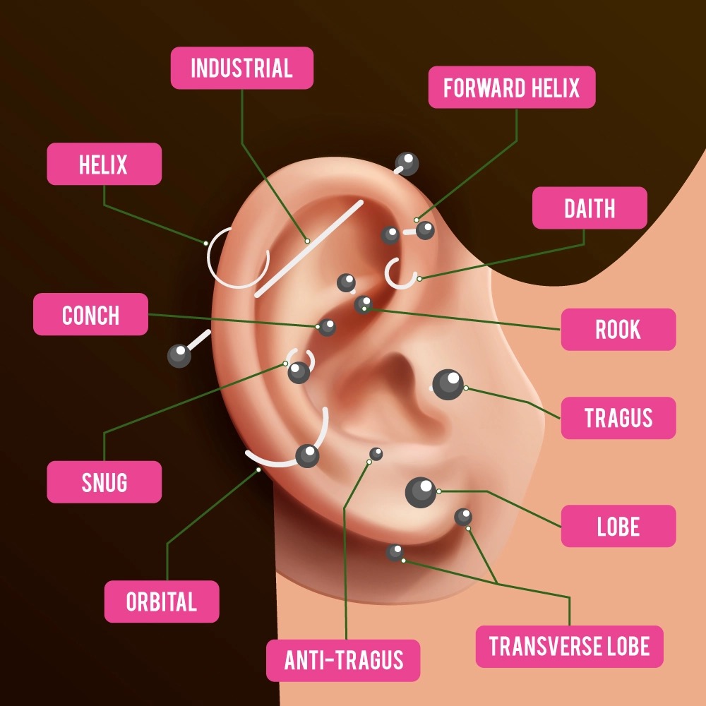 ear piercing name chart