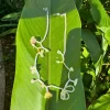 handmade dainty yellow flower bead necklace